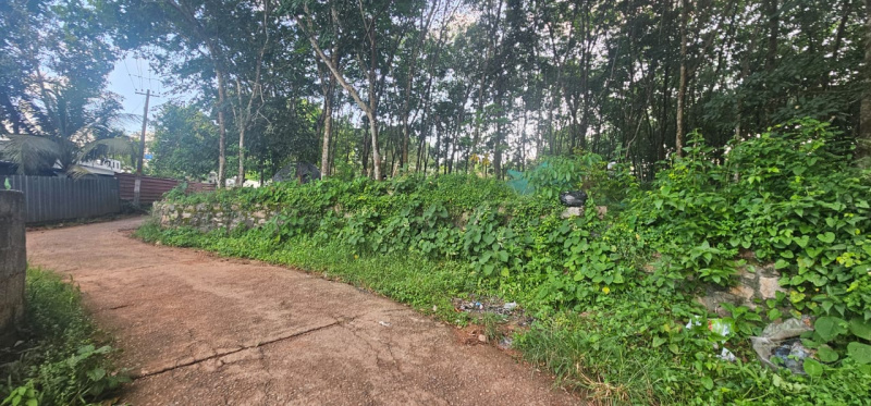  Residential Plot 30 Cent for Sale in Pathanapuram, Kollam