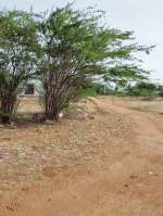  Residential Plot for Sale in Pallapatti, Karur