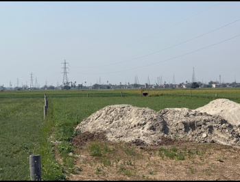  Residential Plot for Sale in Bairiya, Patna