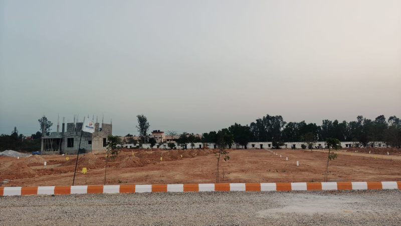  Residential Plot 1200 Sq.ft. for Sale in Hoskote, Bangalore