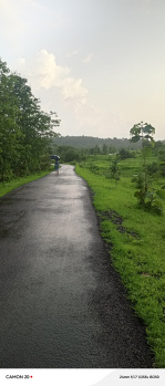  Residential Plot for Sale in Mangaon, Raigad