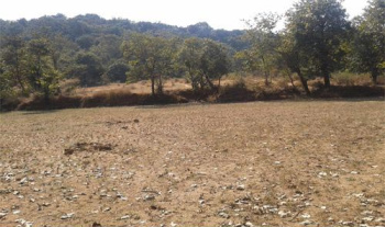  Residential Plot for Sale in Mangaon, Raigad