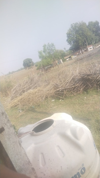  Agricultural Land for Sale in Berasia, Bhopal