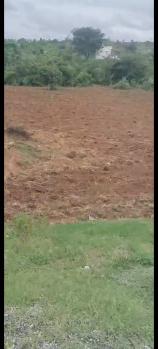  Residential Plot for Sale in Denkanikottai, Hosur