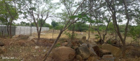 Agricultural Land for Sale in Addakal, Mahbubnagar