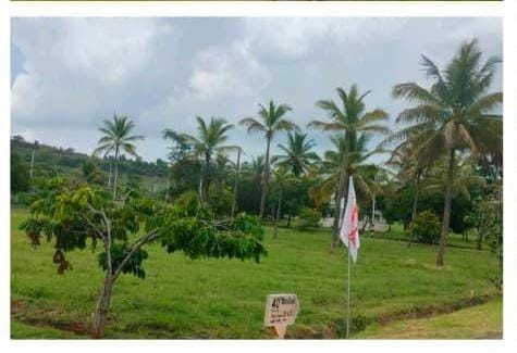  Residential Plot 1200 Sq.ft. for Sale in Mysore Road, Bangalore