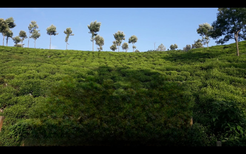  Commercial Land 30 Cent for Sale in Kotagiri, Ooty