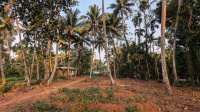  Residential Plot for Sale in Udayamperoor, Ernakulam