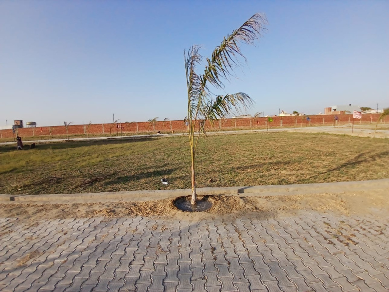  Residential Plot 80 Sq. Yards for Sale in Anand Vihar, Hapur