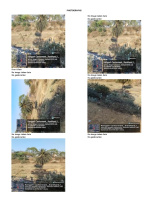  Residential Plot for Sale in Ramgarh Cantonment