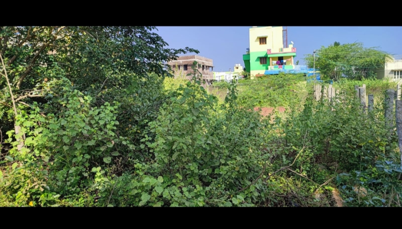 Residential Plot 11 Cent for Sale in Burma Colony, Karaikudi