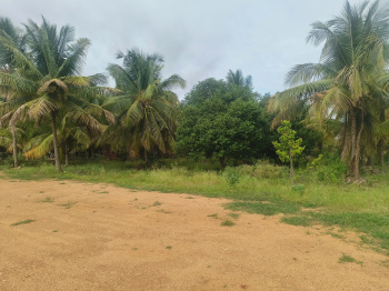 4 BHK Farm House for Rent in Hiriyur, Chitradurga