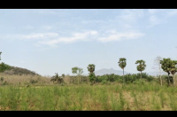  Agricultural Land for Sale in Anakapalle, Visakhapatnam