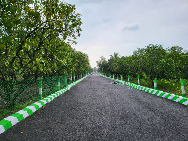  Agricultural Land 9600 Sq.ft. for Sale in Alapakkam, Chengalpattu