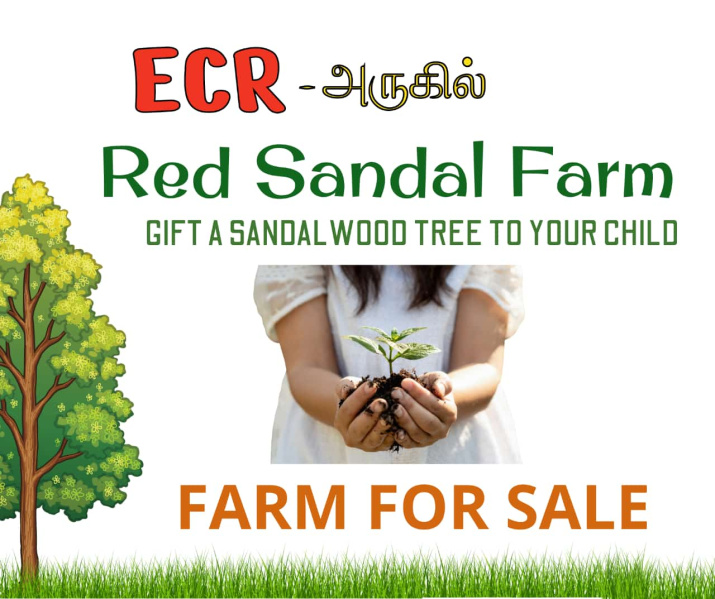  Residential Plot 9600 Sq.ft. for Sale in Maduranthakam, Chengalpattu