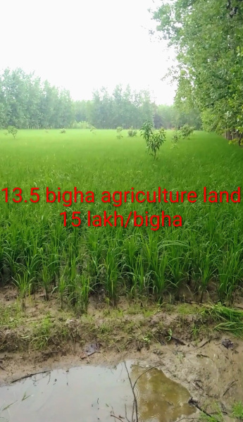 Chhutmalpur, Saharanpur photo 2