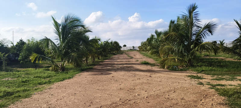  Agricultural Land 5 Acre for Sale in Kadthal, Hyderabad