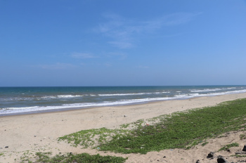 2 BHK Villa for Sale in Ecr To Marakanam Road, Chennai