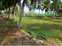  Agricultural Land for Sale in Narsapur, West Godavari