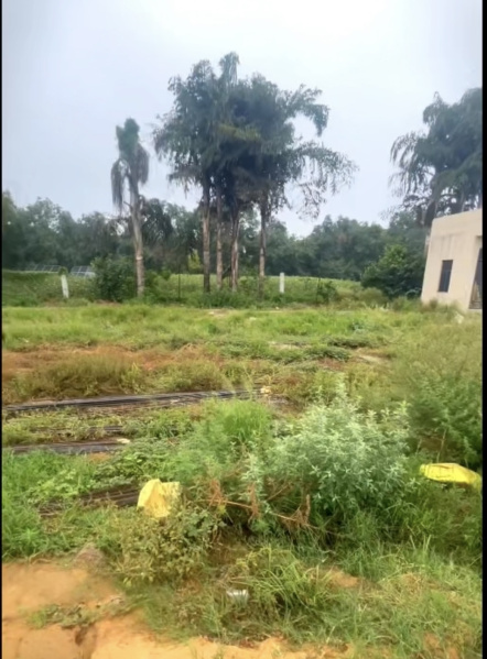 Residential Plot 2250 Sq.ft. for Sale in Sector 2 Palwal