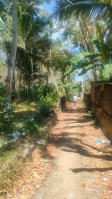  Commercial Land for Sale in Attoor, Kanyakumari