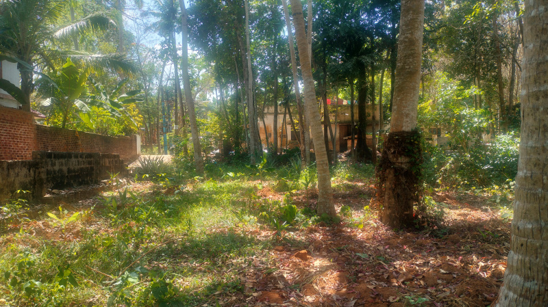  Commercial Land 1 Acre for Sale in Attoor, Kanyakumari