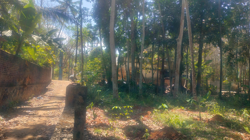  Commercial Land 1 Acre for Sale in Attoor, Kanyakumari