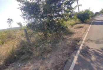  Agricultural Land for Rent in Madhura Nagar, Bangalore