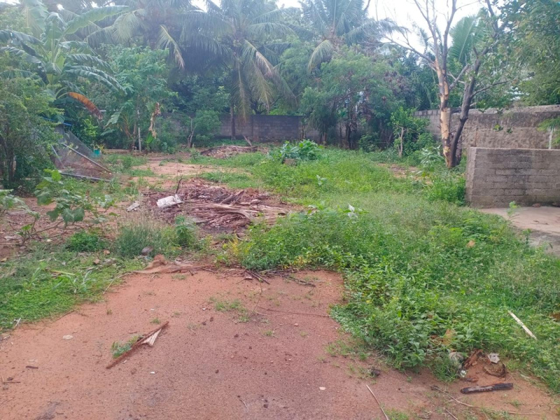  Residential Plot 6 Cent for Sale in Vettunimadam, Nagercoil, Kanyakumari