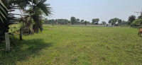  Residential Plot for Sale in Shantiniketan, Birbhum, 