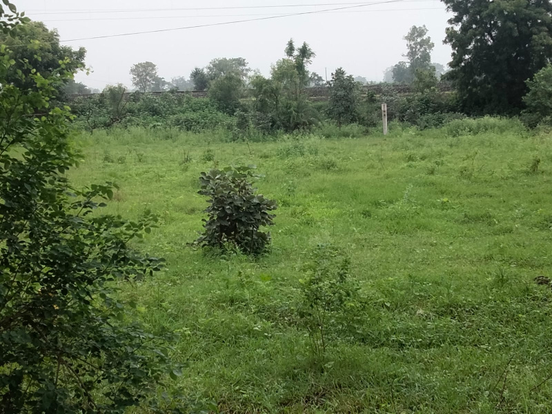  Agricultural Land 16200 Sq.ft. for Sale in Malwa, Mandsaur