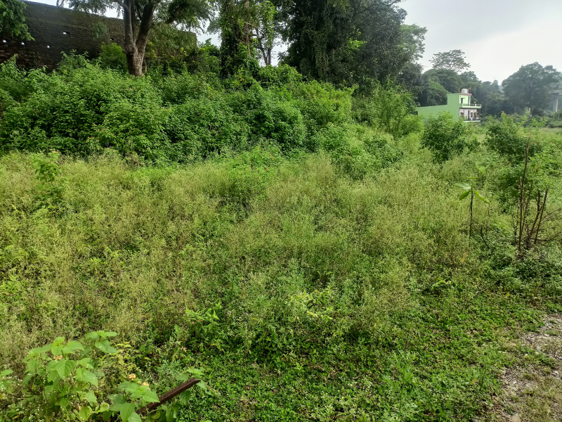  Residential Plot 300 Sq. Yards for Sale in Lachhiwala, Dehradun