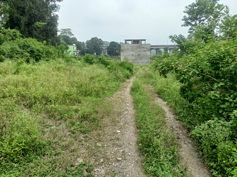  Residential Plot 300 Sq. Yards for Sale in Lachhiwala, Dehradun