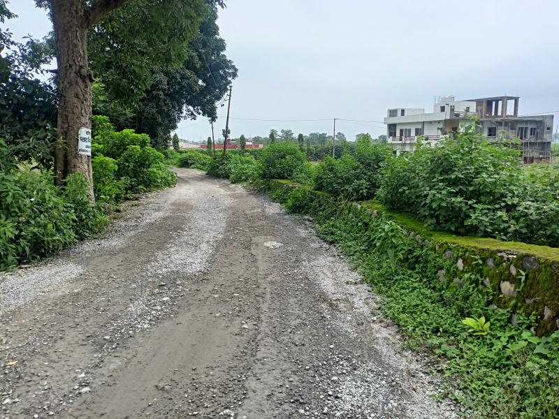  Residential Plot 300 Sq. Yards for Sale in Lachhiwala, Dehradun