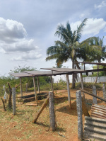  Commercial Land for Sale in Thirunagar, Madurai
