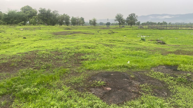  Industrial Land 251 Guntha for Sale in Khalapur, Navi Mumbai
