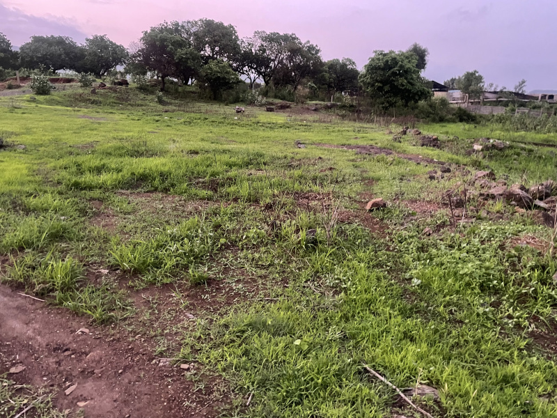  Industrial Land 2 Ares for Sale in Khalapur, Raigad