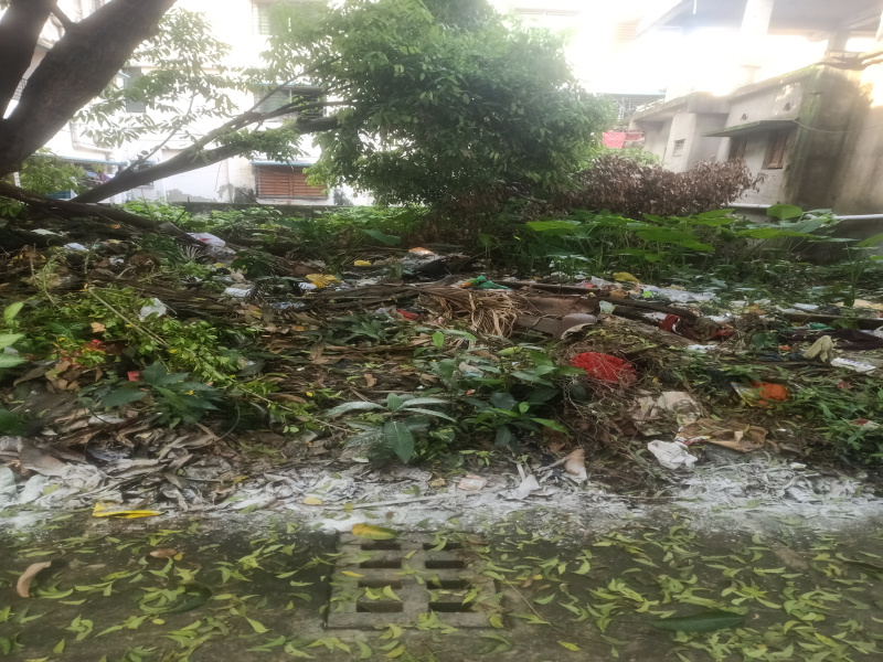  1620 Sq.ft. Residential Plot for Sale in Sahapur, New Alipore, Kolkata