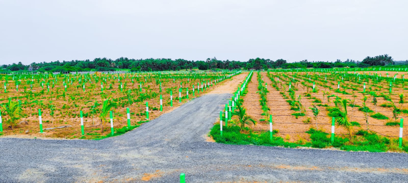  Agricultural Land 9600 Sq.ft. for Sale in Maduranthakam, Chengalpattu