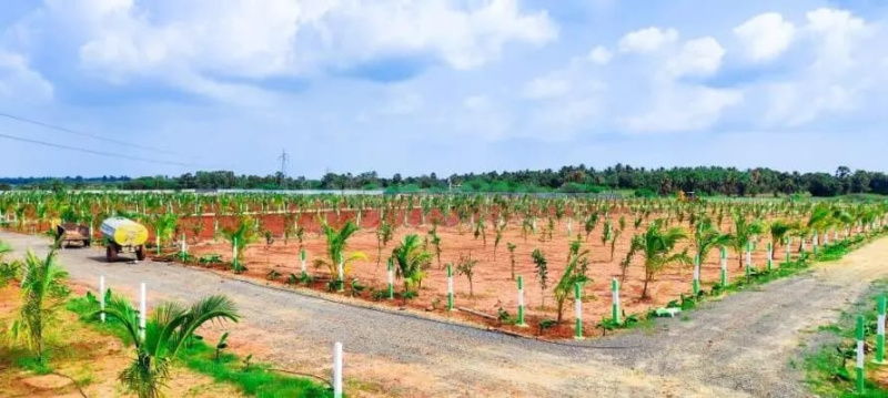  Agricultural Land 9600 Sq.ft. for Sale in Maduranthakam, Chengalpattu