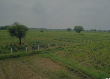  Residential Plot for Sale in Naugaon, Alwar