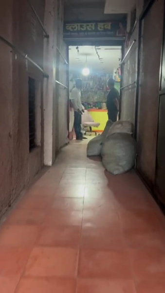  Commercial Shop 2500 Sq.ft. for Rent in Itwari, Nagpur