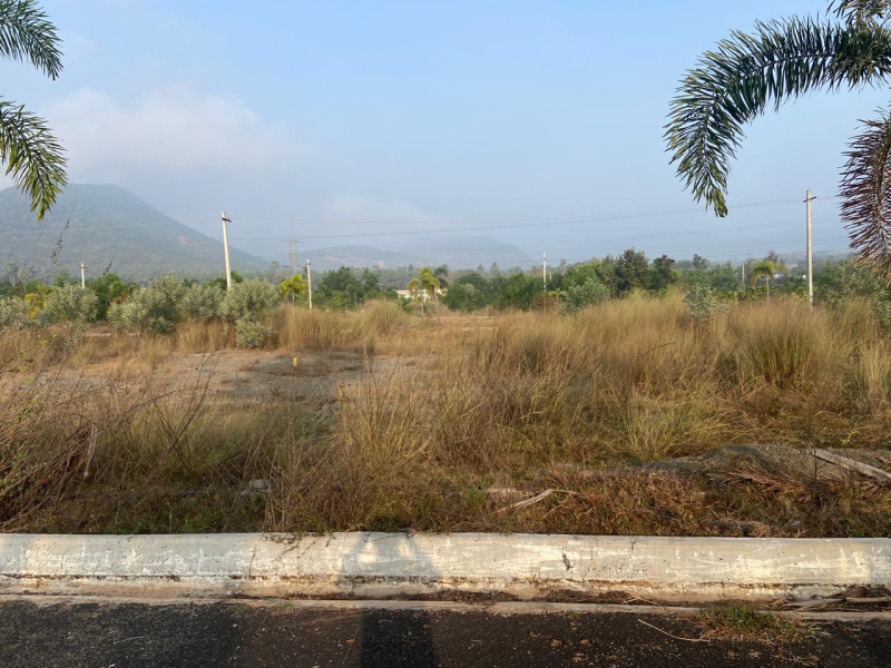  Residential Plot 200 Sq. Yards for Sale in Anandapuram, Visakhapatnam