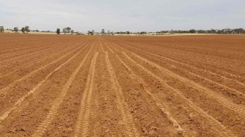  Agricultural Land for Sale in Hattur, Solapur