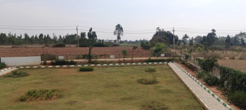 Residential Plot for Sale in Malur, Bangalore