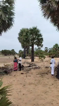  Agricultural Land for Sale in Sayalgudi, Ramanathapuram