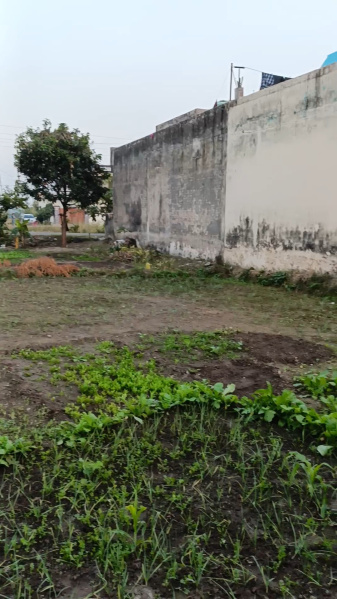  Residential Plot 1350 Sq.ft. for Sale in Ramnagar Road, Kashipur