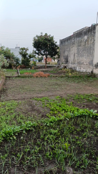  Residential Plot 1350 Sq.ft. for Sale in Ramnagar Road, Kashipur