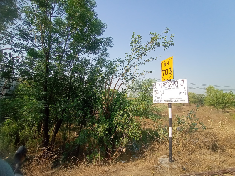  Commercial Land 25 Sq.ft. for Sale in Nakodar, Jalandhar
