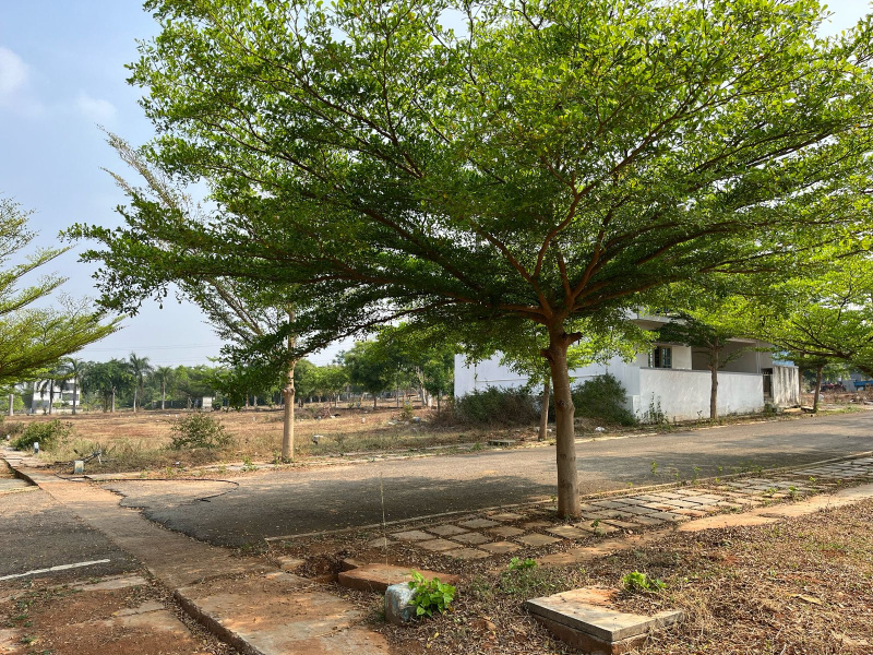  Residential Plot 1500 Sq.ft. for Sale in Bidadi, Bangalore